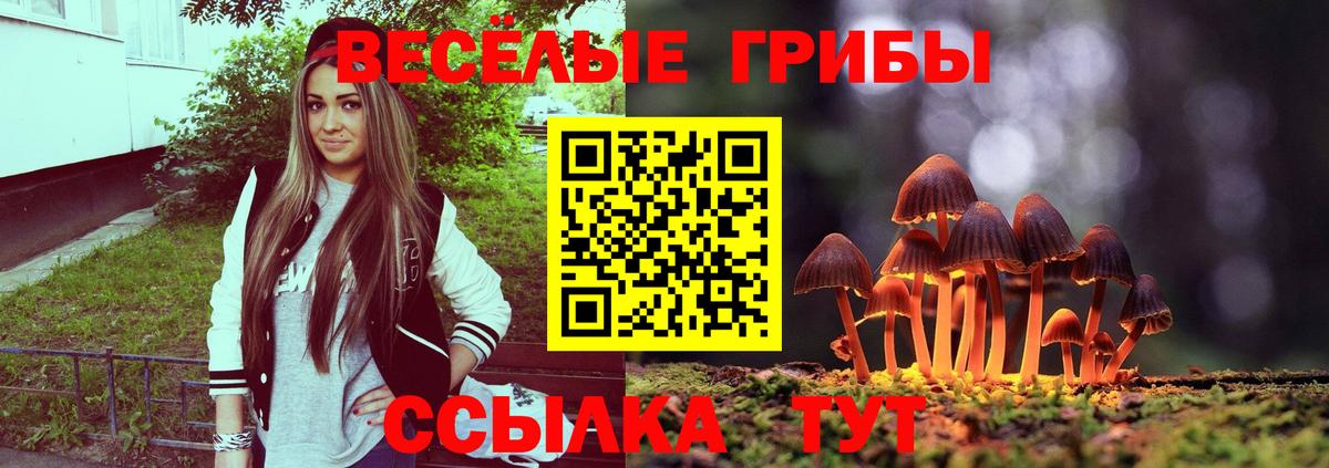 Галлюциногенные грибы Psilocybine cubensis  Вход с VPN  Осинники  Псилоцибиновые грибы Magic Shrooms 
