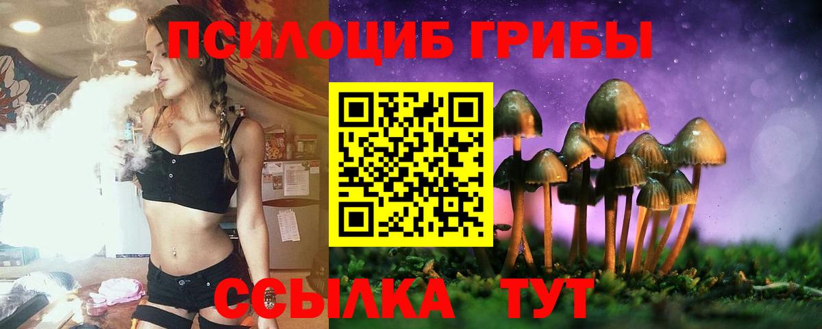 Псилоцибиновые грибы ЛСД Осинники