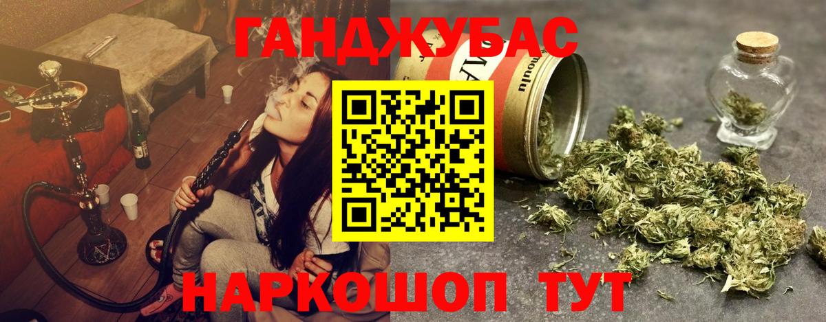 Бошки Шишки план Осинники